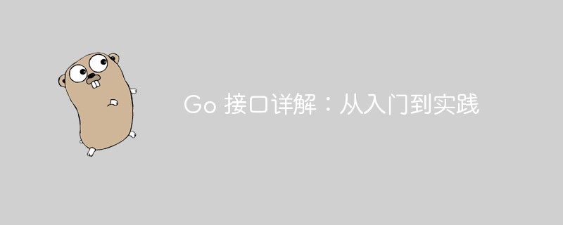 Go接口使用与实战教程