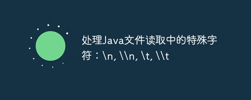 处理Java文件读取中的特殊字符：\n, \\n, \t, \\t