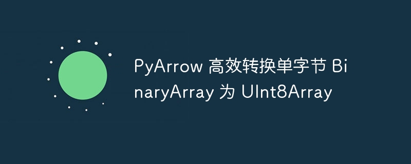 PyArrow 高效转换单字节 BinaryArray 为 UInt8Array