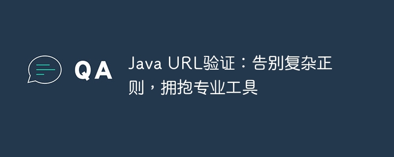 Java URL验证:告别复杂正则,拥抱专业工具