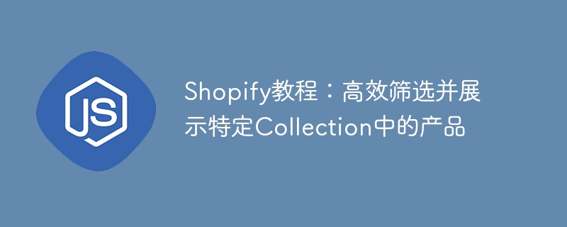 Shopify教程：如何筛选展示特定产品