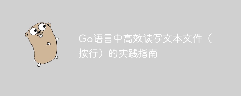 Go语言文本文件读写技巧分享
