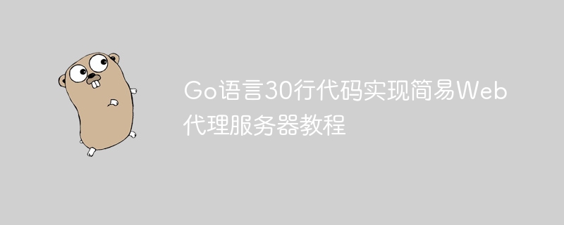 Go语言30行代码搭建代理服务器教程