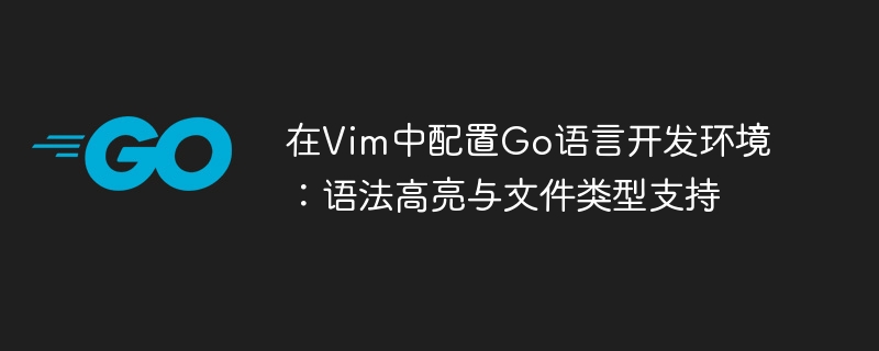在Vim中配置Go语言开发环境:语法高亮与文件类型支持