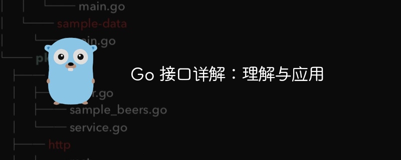 Go 接口详解：理解与应用