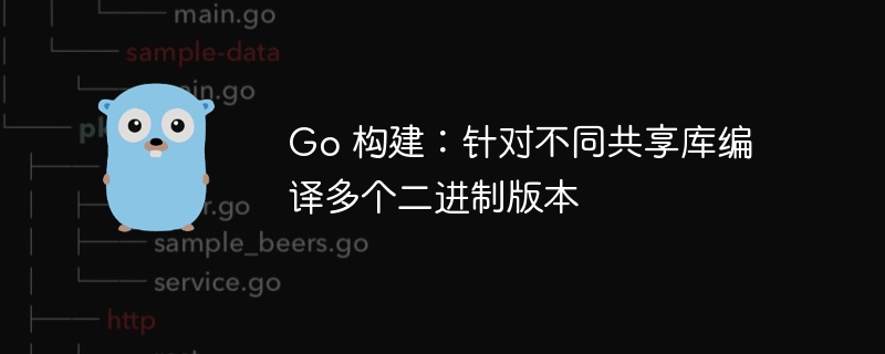 Go 构建：针对不同共享库编译多个二进制版本
