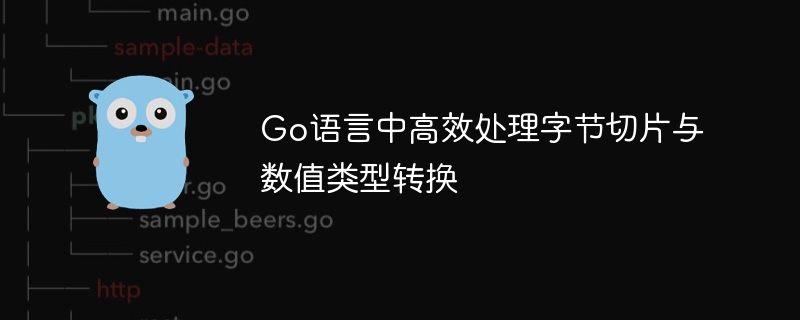 Go语言切片与数值转换技巧详解