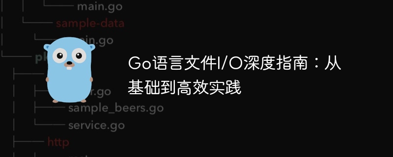 Go语言文件I/O深度指南：从基础到高效实践
