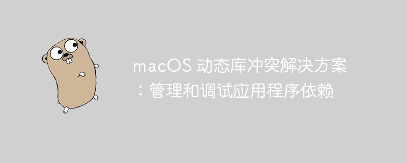 macOS 动态库冲突解决方案：管理和调试应用程序依赖

