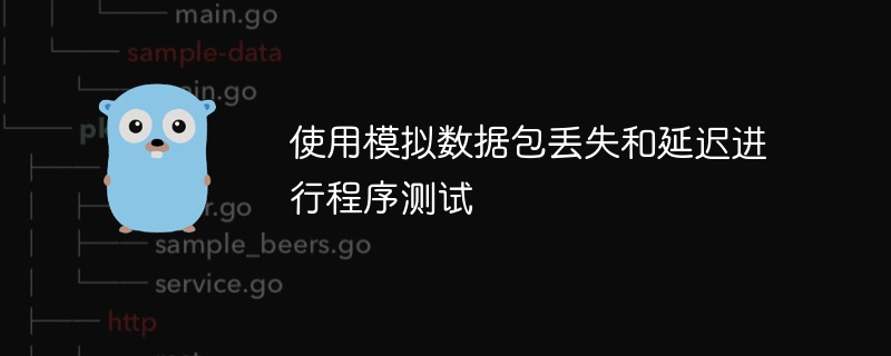 数据包丢失与延迟测试技巧