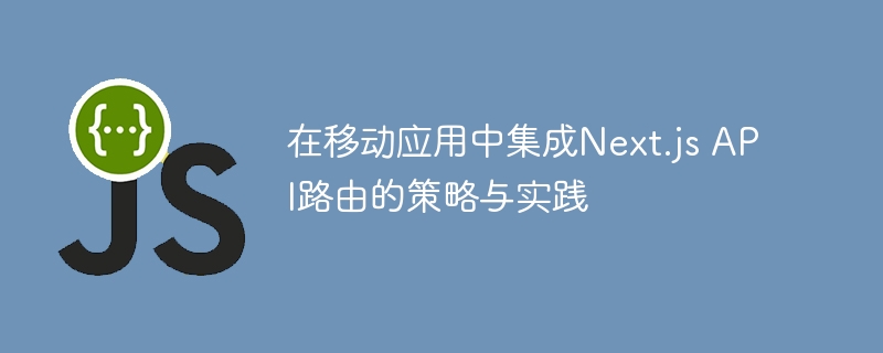 Next.jsAPI路由使用指南与实战解析