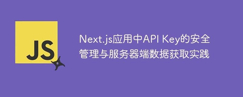 Next.js应用中API Key的安全管理与服务器端数据获取实践