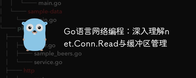 Go语言Read方法与缓冲区管理详解