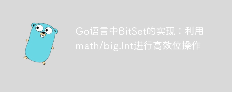 Go语言BitSet高效实现：math/big.Int位操作技巧