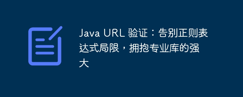 Java URL 验证：告别正则表达式局限，拥抱专业库的强大