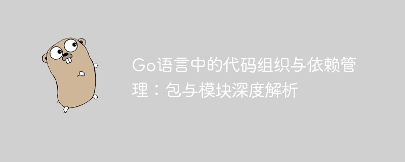 Go语言中的代码组织与依赖管理：包与模块深度解析

