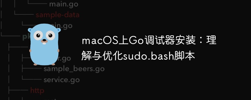 MacGo调试器安装步骤详解