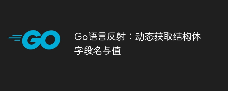 Go反射获取结构体字段名和值的方法