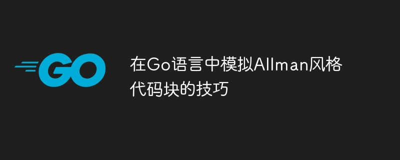 Go语言Allman风格代码规范详解