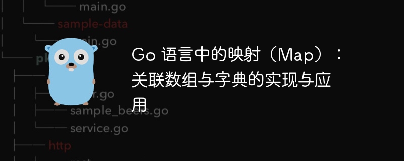 Go语言映射使用与实战解析