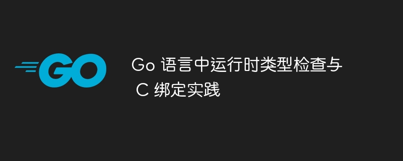 Go语言类型检查与C绑定实战教程