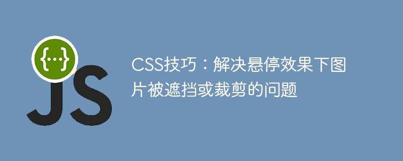 CSS图片悬停遮挡问题怎么解决