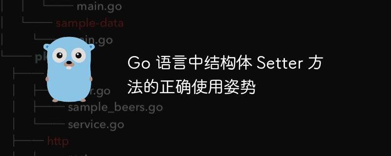 Go 语言中结构体 Setter 方法的正确使用姿势