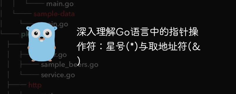 Go语言指针操作符：\*与&用法解析