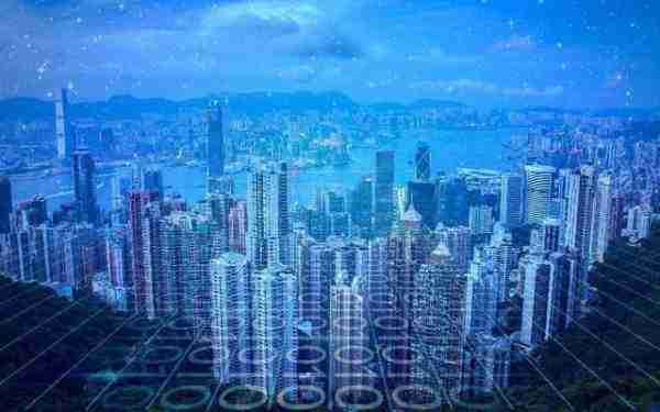 行业AI先锋，为何网络先行？