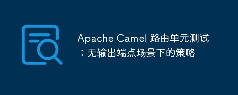 Apache Camel 路由单元测试：无输出端点场景下的策略

