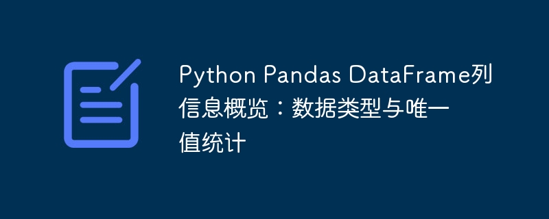 Python Pandas DataFrame列信息概览：数据类型与唯一值统计
