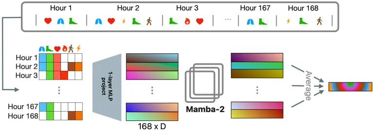 苹果 AI 模型新突破，健康状态识别准确率最高达 92%