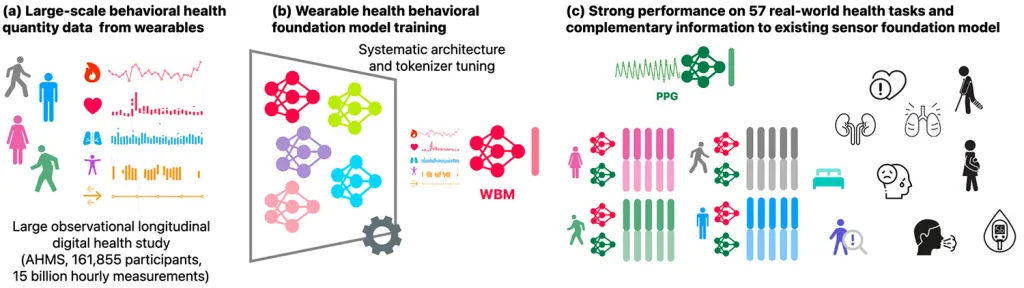 苹果AI模型升级，健康识别准确率达92%