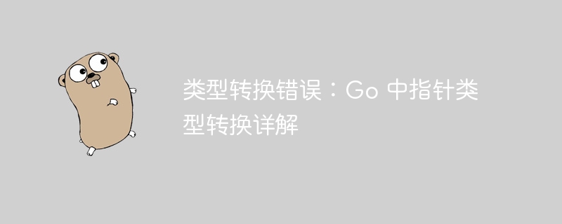 类型转换错误：Go 中指针类型转换详解
