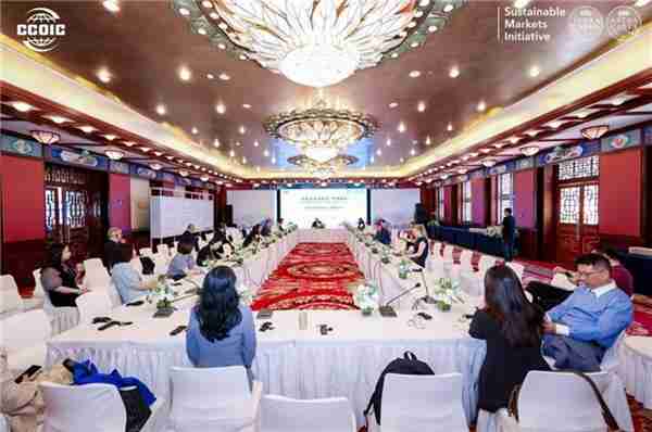 能链创始人戴震出席“可持续市场倡议”中国系列论坛  阐述AI驱动能源产业链升级新路径