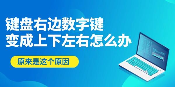 键盘数字键变方向键怎么解决？原因揭秘！