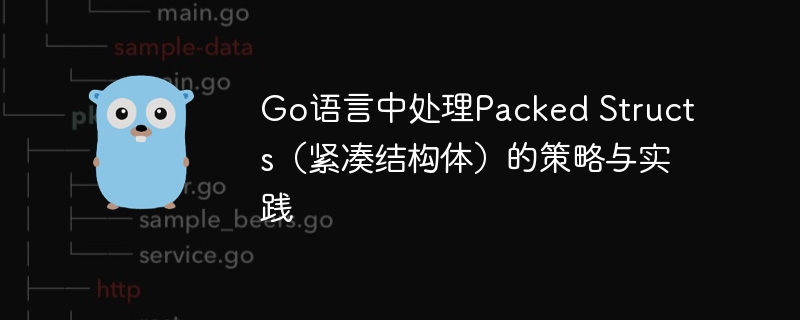 Go语言中处理Packed Structs(紧凑结构体)的策略与实践