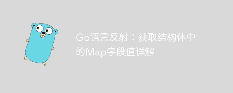 Go反射获取结构体map字段值详解