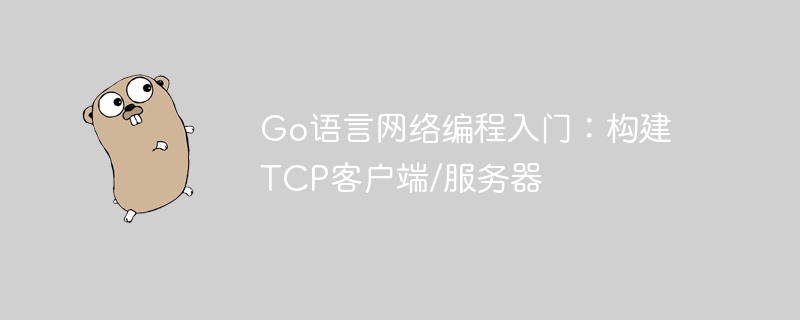 Go语言TCP编程教程：客户端与服务器实现