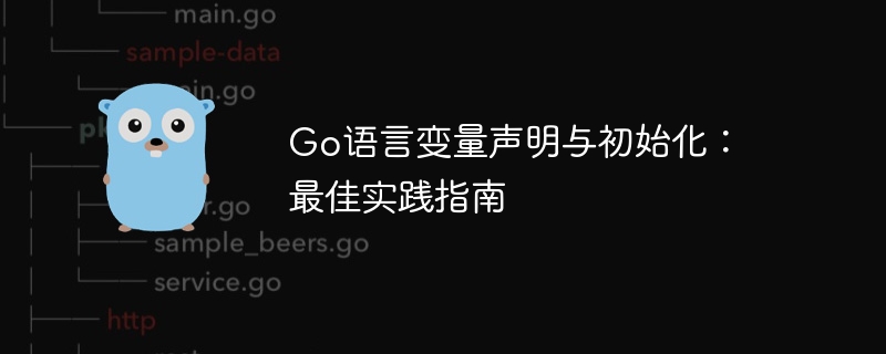 Go语言变量声明与初始化：最佳实践指南