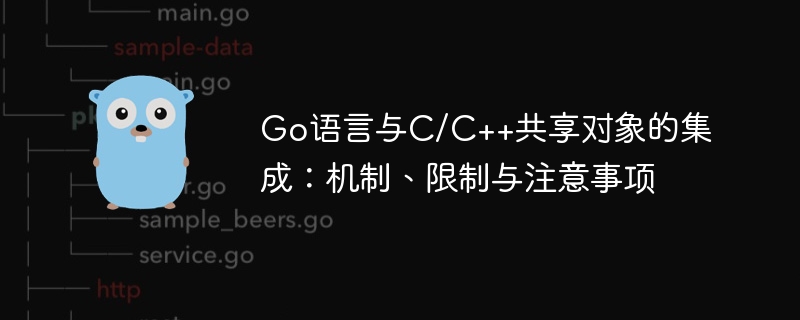 Go与C/C++对象共享集成教程