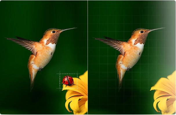 绘蛙AI修图怎样制作高转化详情页?电商运营法