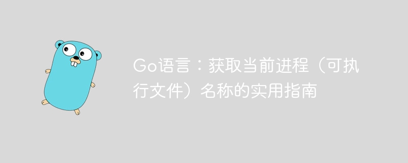 Go语言：获取当前进程（可执行文件）名称的实用指南
