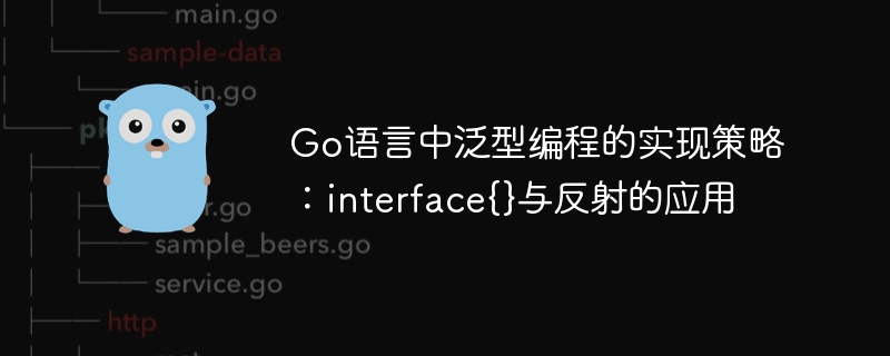 Go语言中泛型编程的实现策略:interface{}与反射的应用