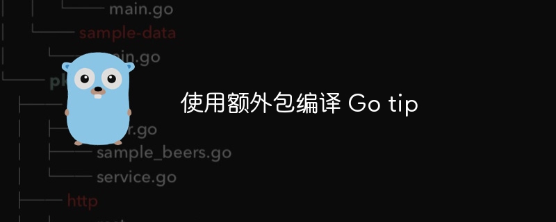 使用额外包编译 Go tip