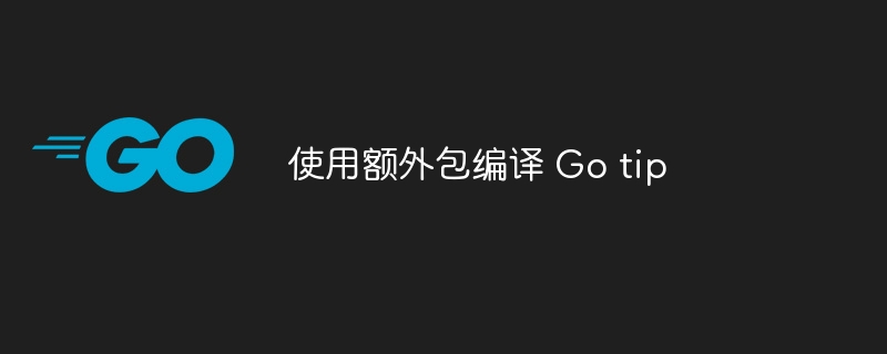 Gotip编译必备：额外包使用详解