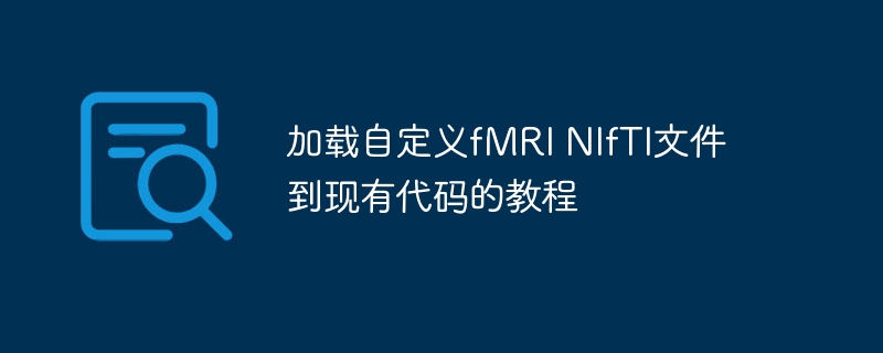 加载自定义fMRI NIfTI文件到现有代码的教程