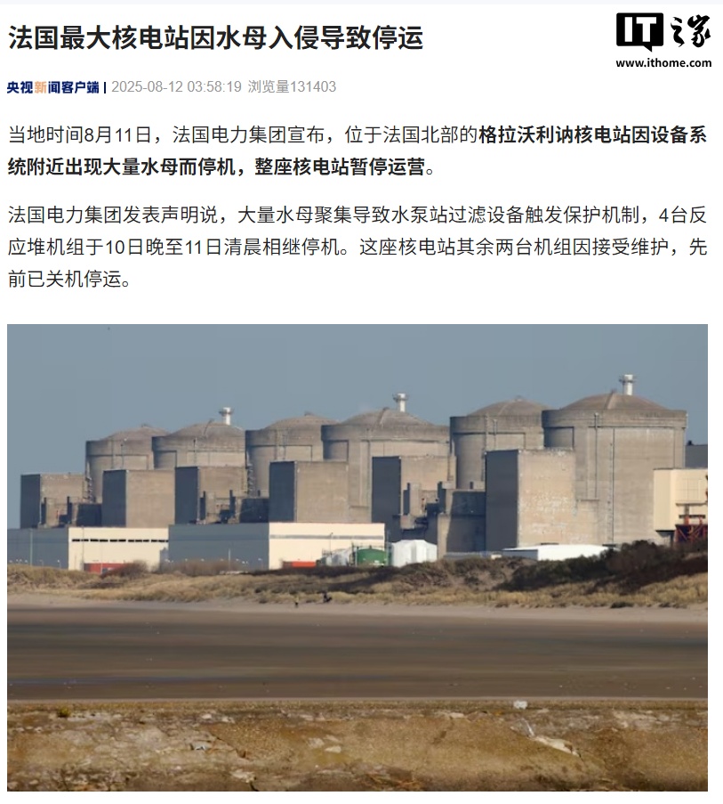 法国最大核电站因水母停运原因揭秘