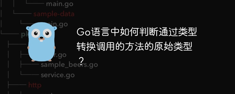 Go语言类型断言判断原始类型方法