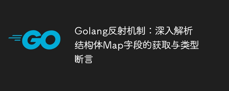 Golang反射：结构体Map字段获取与类型判断解析
